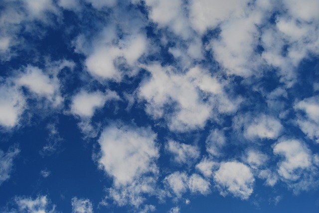 Free Blue Skies photo and picture