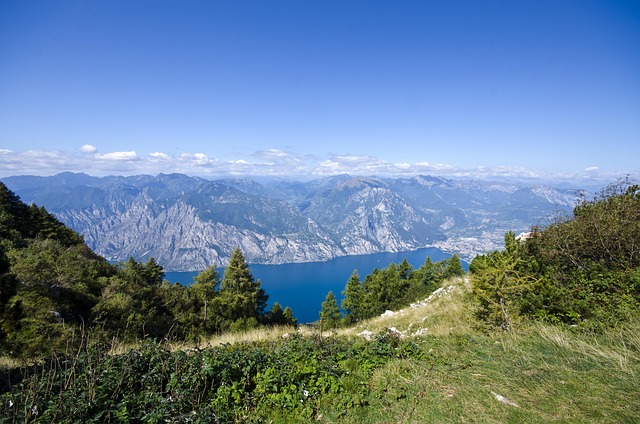 Free The Alps Guard photo and picture