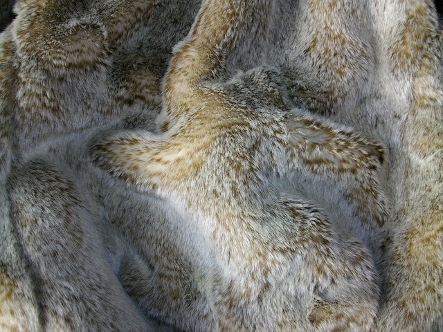 Free Fur Material photo and picture
