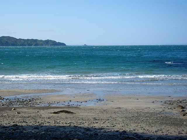 Free Sea Coast photo and picture