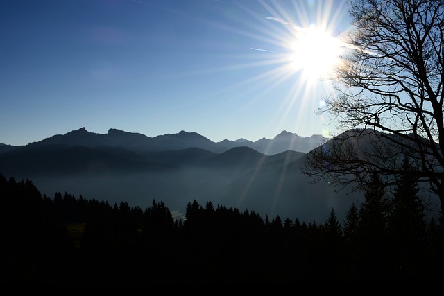 Free Fall Sun photo and picture