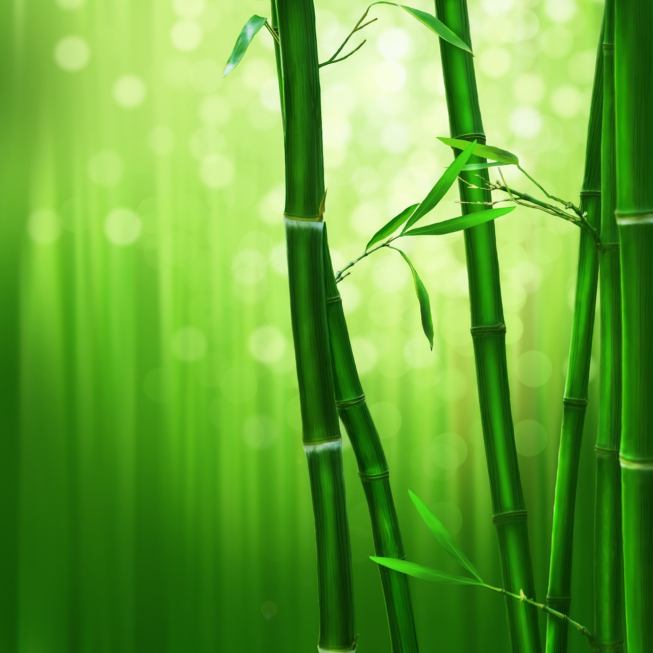 200 000 Free Bamboo Tree Bamboo Photos Pixabay 200 000 Free Bamboo Tree Bamboo Photos Pixabay