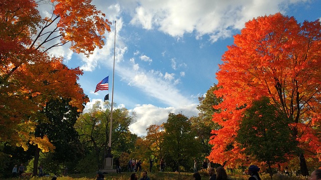 Efterår, Central Park, Usa, Træ