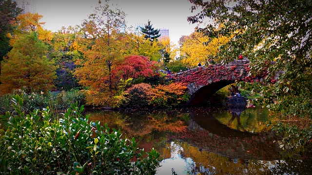 Bro, Nyc, Usa, Central Park, Efterår