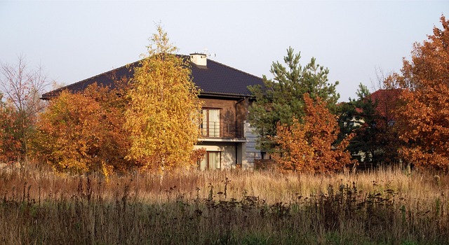 Haus, Leben, Frieden Des Verstandes