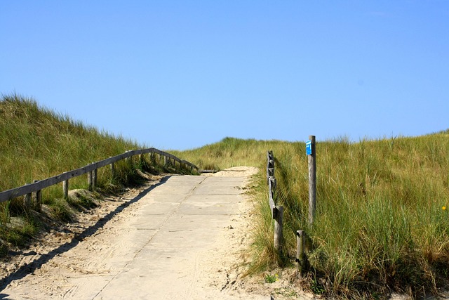 Free Dune Beach photo and picture