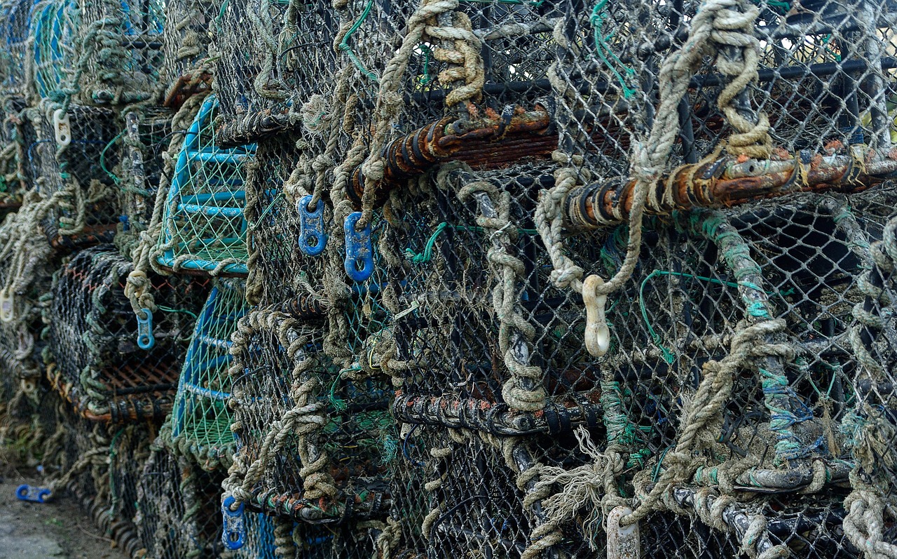 打魚機攻略，掌握技巧，輕松捕魚