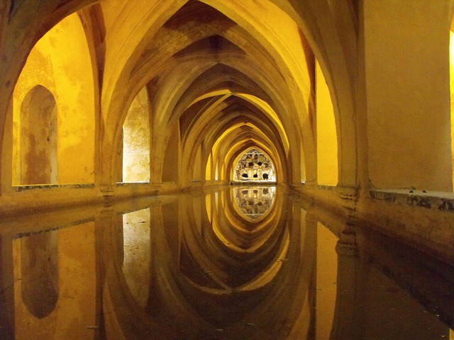 Water Yellow Reflection - Free photo on Pixabay - Pixabay