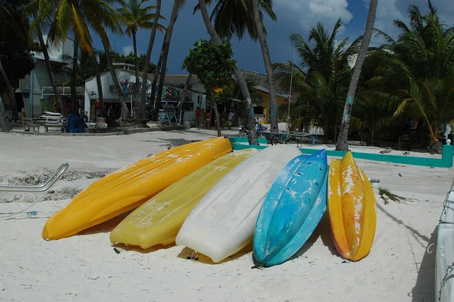 Free Kayaks Beach photo and picture