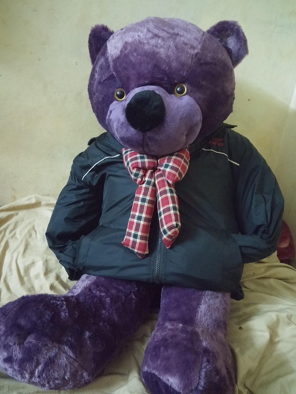 bear-1047896_1280.jpg