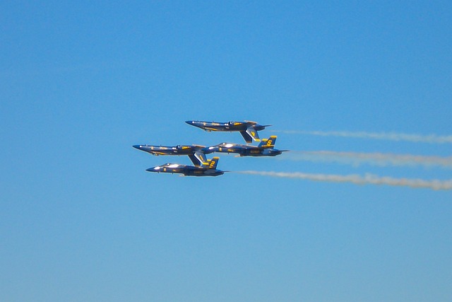 Free Blue Angels F18 Hornet photo and picture