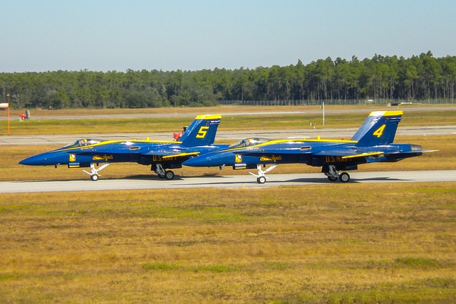 Free Blue Angels F18 Hornet photo and picture