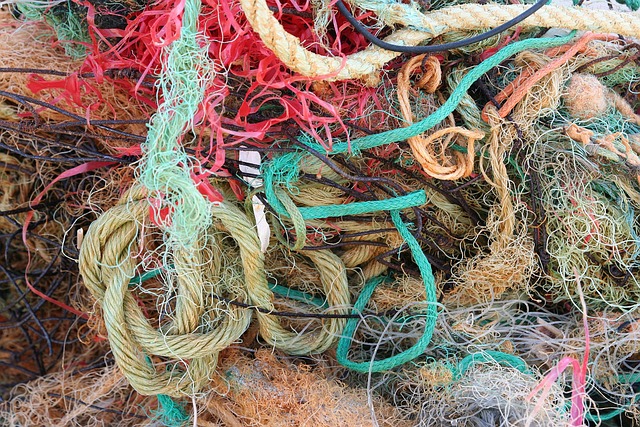 Free Flotsam Environment photo and picture