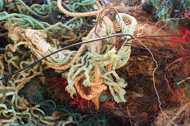 Free Flotsam Environment photo and picture