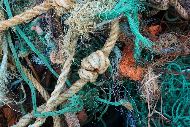 Free Flotsam Environment photo and picture
