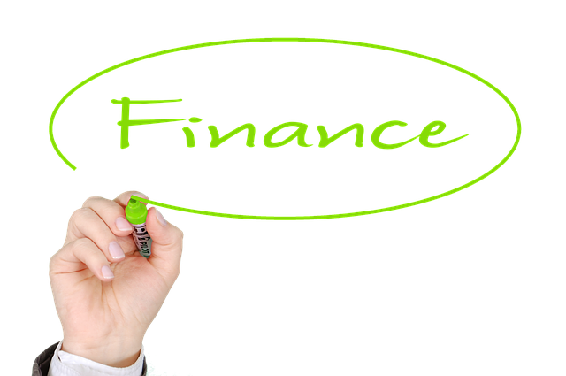 Free finance business success illustration