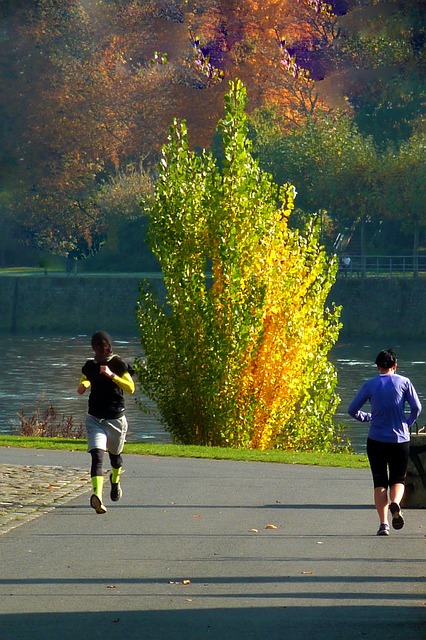9,000+ Free Continuous Run & Run Images - Pixabay
