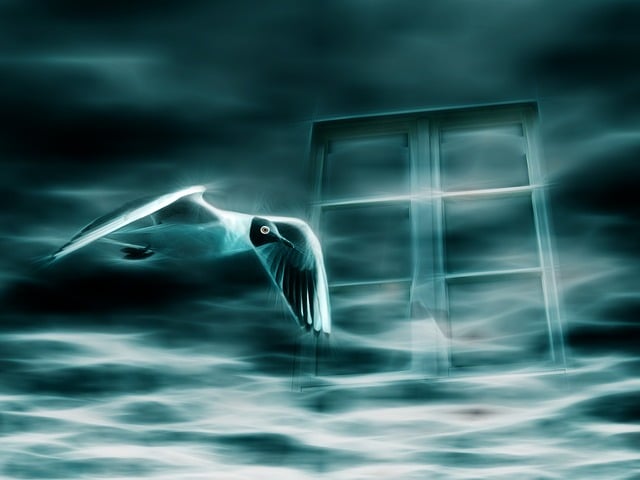 Free gull window waves illustration