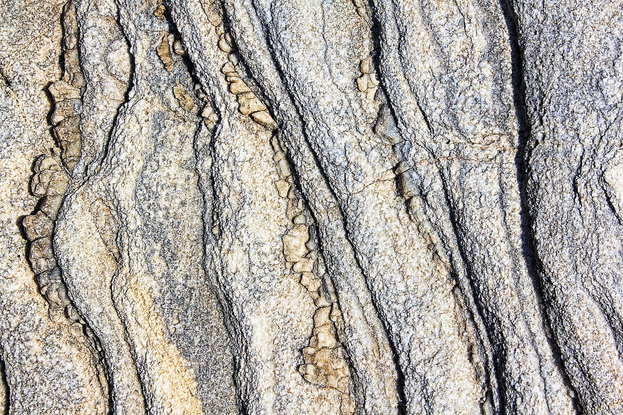 Texture - free online jigsaw puzzle photo