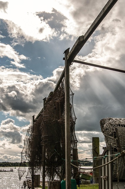 Free Fishing Port Schleswig photo and picture