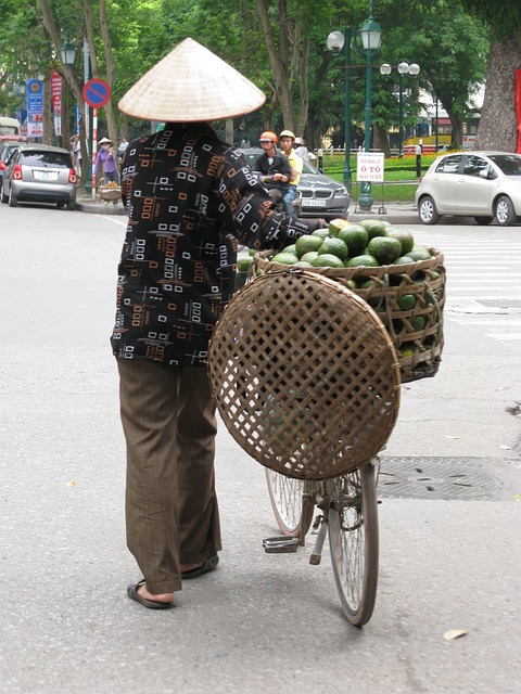 Free Conical Hat Coconut photo and picture