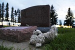 grave, teddie, cemetery