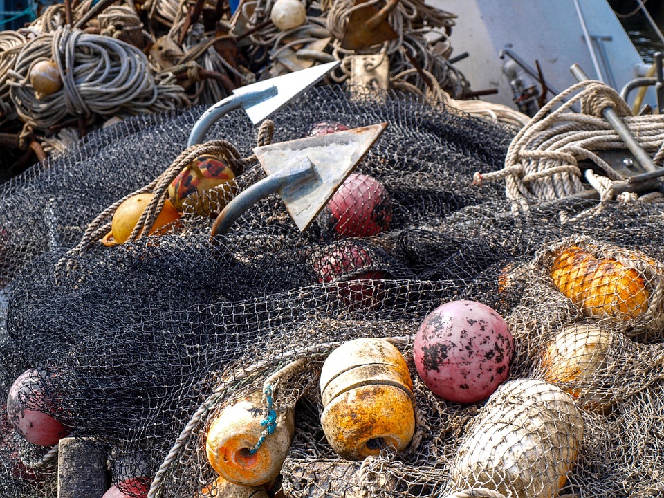 Hook, Line, and Sinker: Innovative Methods to Reel in Your Best Catch
