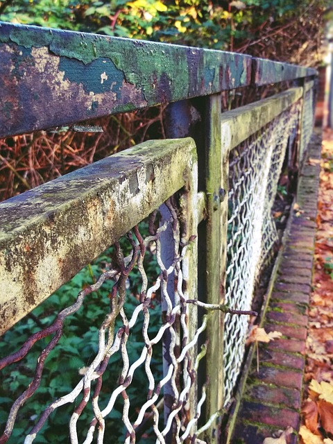 Gjerde, Hagegjerde, Hage, Netting Gjerde