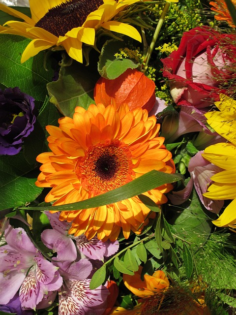 Solsikke, Farverig Buket, Blomster