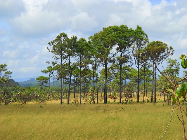 Free Belize Central America photo and picture