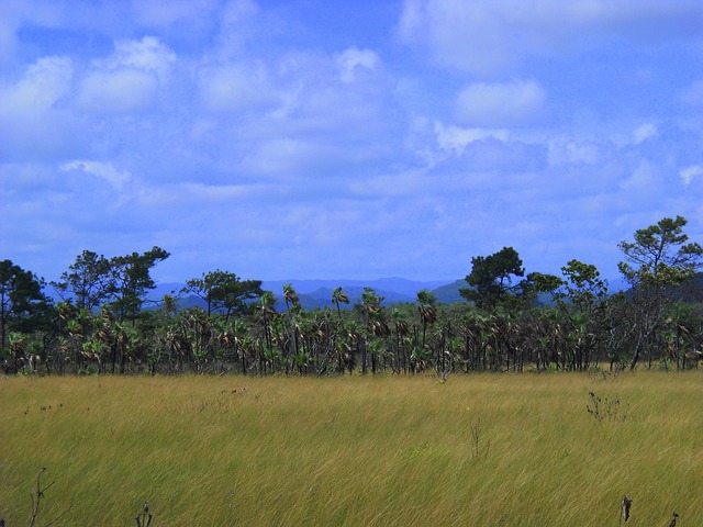 Free Belize Central America photo and picture