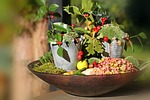 autumn, autumn decoration, decoration