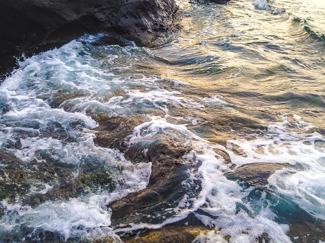 Free Spray Waves photo and picture