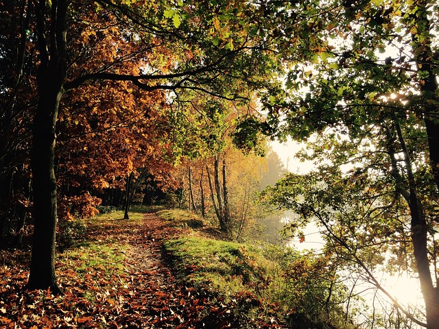 Free Nature Autumn Mood photo and picture