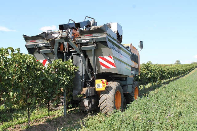Free Machine Grapes photo and picture