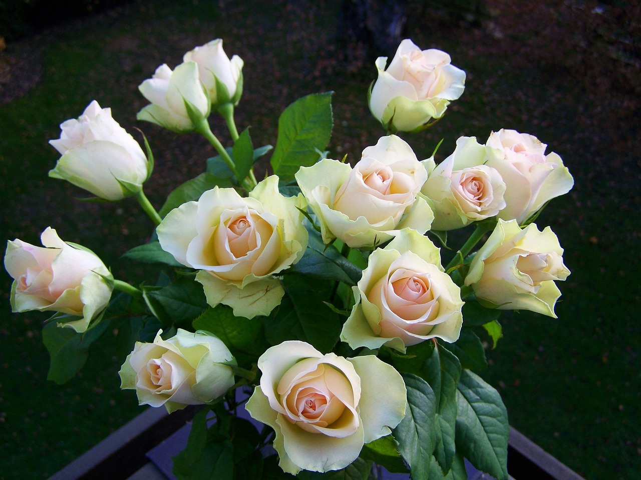 Bouquet De Fleurs Blanc Et Rose