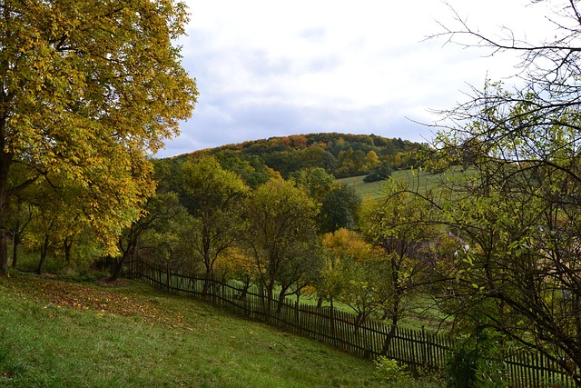 Free Autumn Country photo and picture