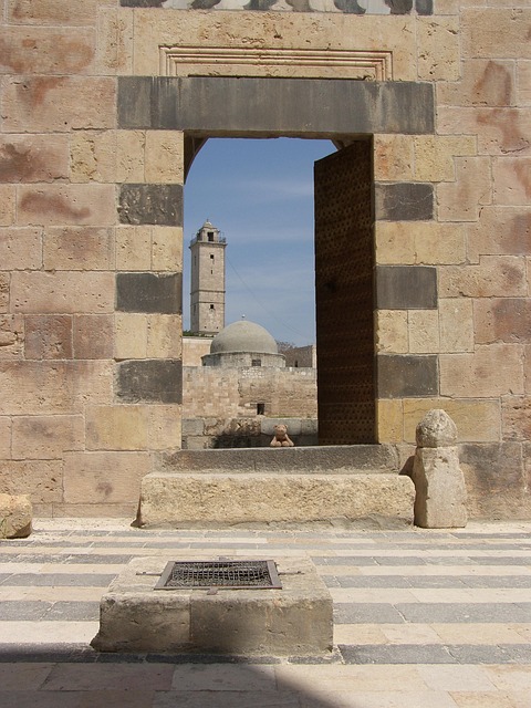 Free Syria Aleppo Zitadele photo and picture
