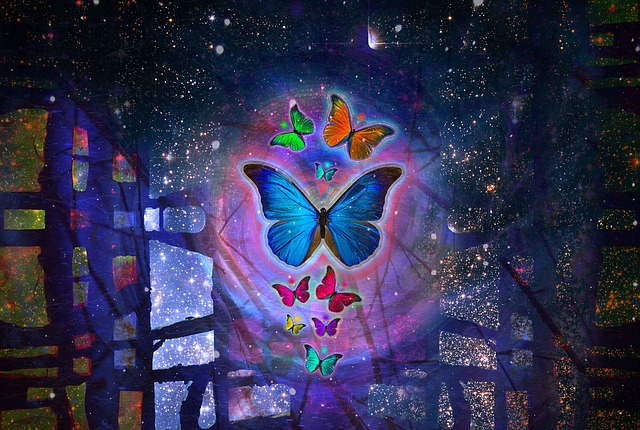 Schmetterling, Abstrakt, Bunt, Design