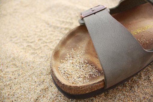 Free Beach Ocean photo and picture