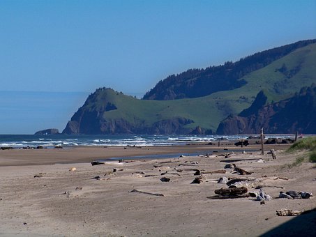 Free Beach Sand photo and picture