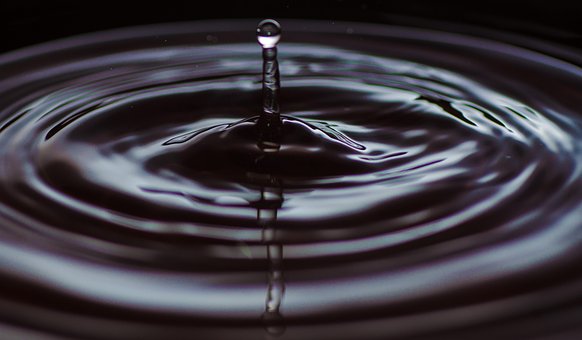 Free Water Droplet photo and picture