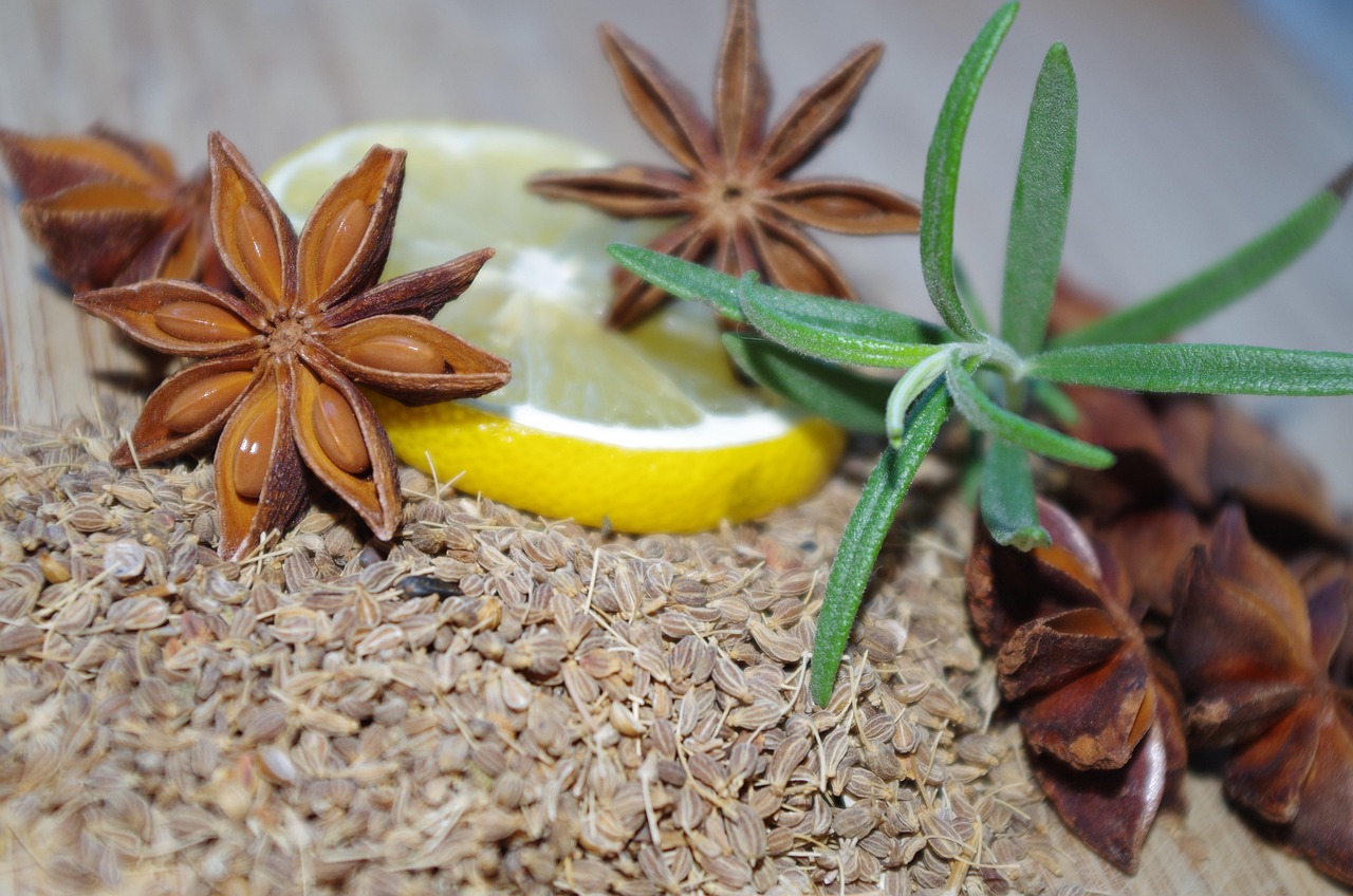 https://cdn.pixabay.com/photo/2015/11/25/09/48/star-anise-1061555_1280.jpg
