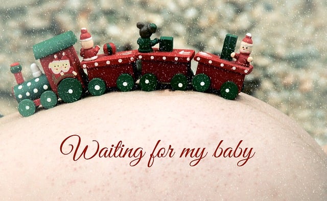 Free pregnant stomach train illustration