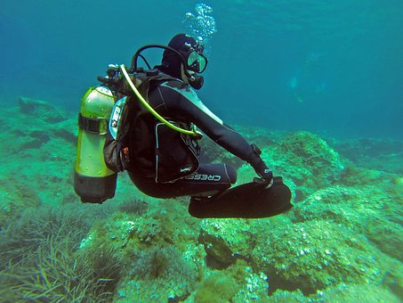 Scuba Diver, Scuba, Diver, Padi, Water