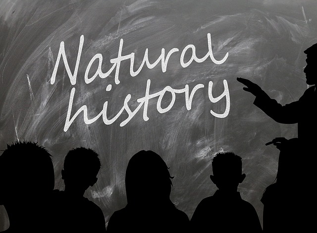 Free school board natural history illustration