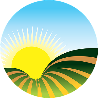 Sol, Fazenda, Plantação, Pôr-Do-Sol