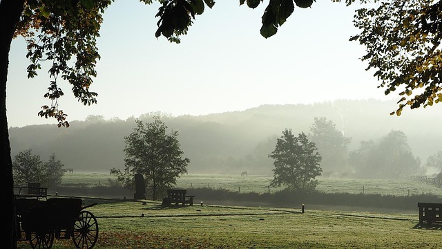 Free Backlighting Fog photo and picture