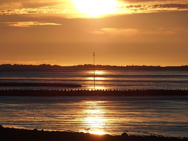 Free Sun Watt photo and picture