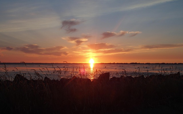 Free Sunset Backlighting photo and picture